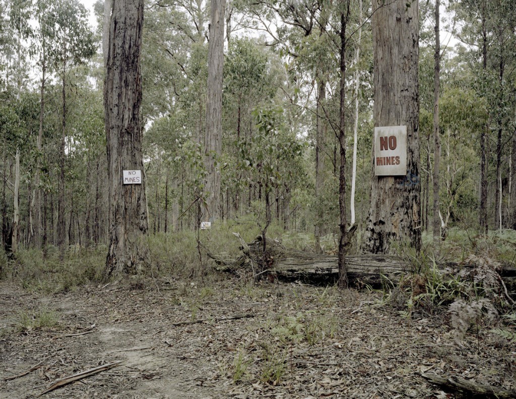 Proposed Gold Mine, Wombat State Forest, VIC, 2013